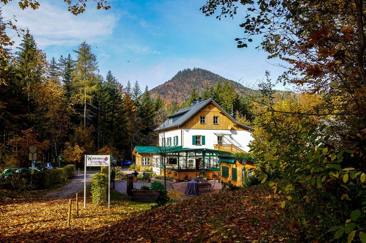 Waldruhe - Bett, Fruehstueck & Ein Laecheln Bed & Breakfast Bad Aussee Luaran gambar